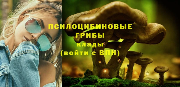МДПВ Белокуриха