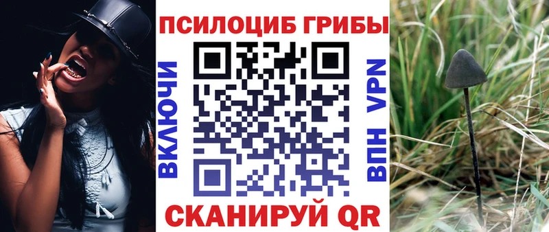 Галлюциногенные грибы Psilocybine cubensis  mega зеркало  Павловск 